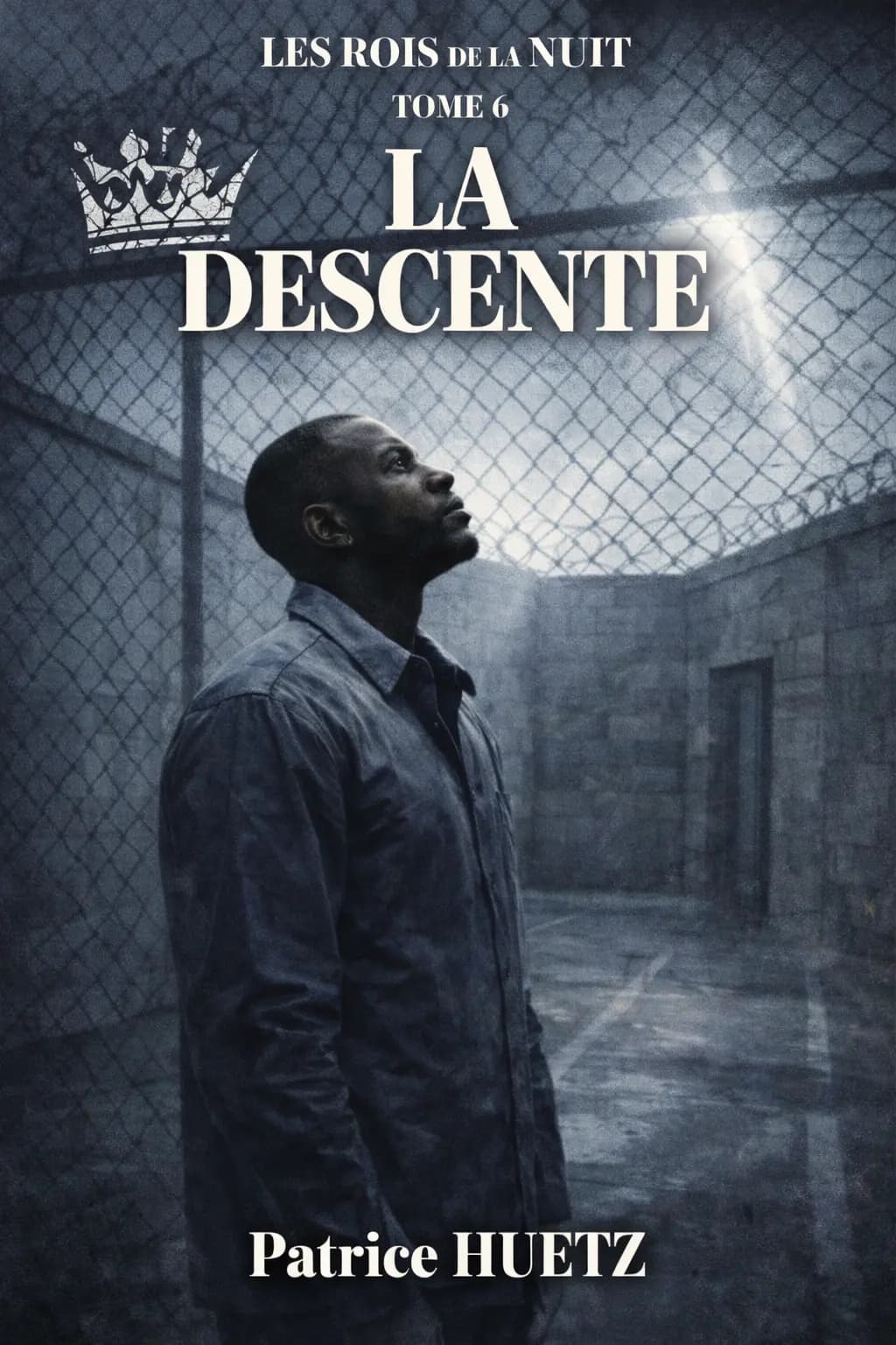 Couverture de Les Rois de la Nuit — T6 : La Descente